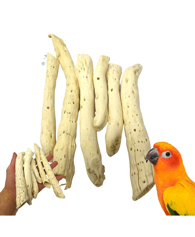Natural Gobi Tail Foot Talon Toy or Bird Toy Part Pack of 6 by Bonka Bird Toys