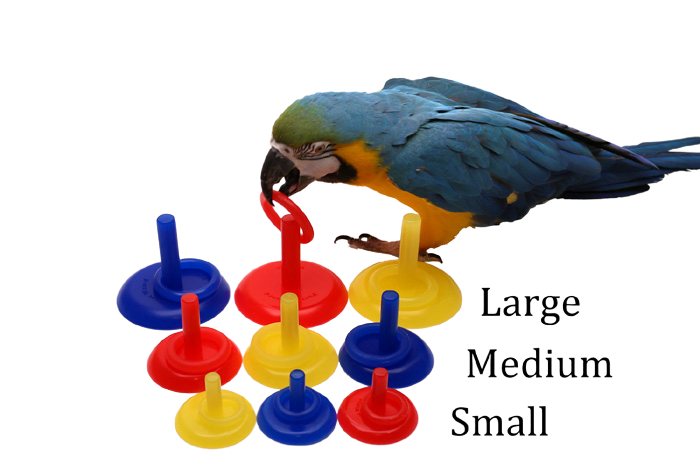 Birdie Ring Toss Large by Parrot Wizard