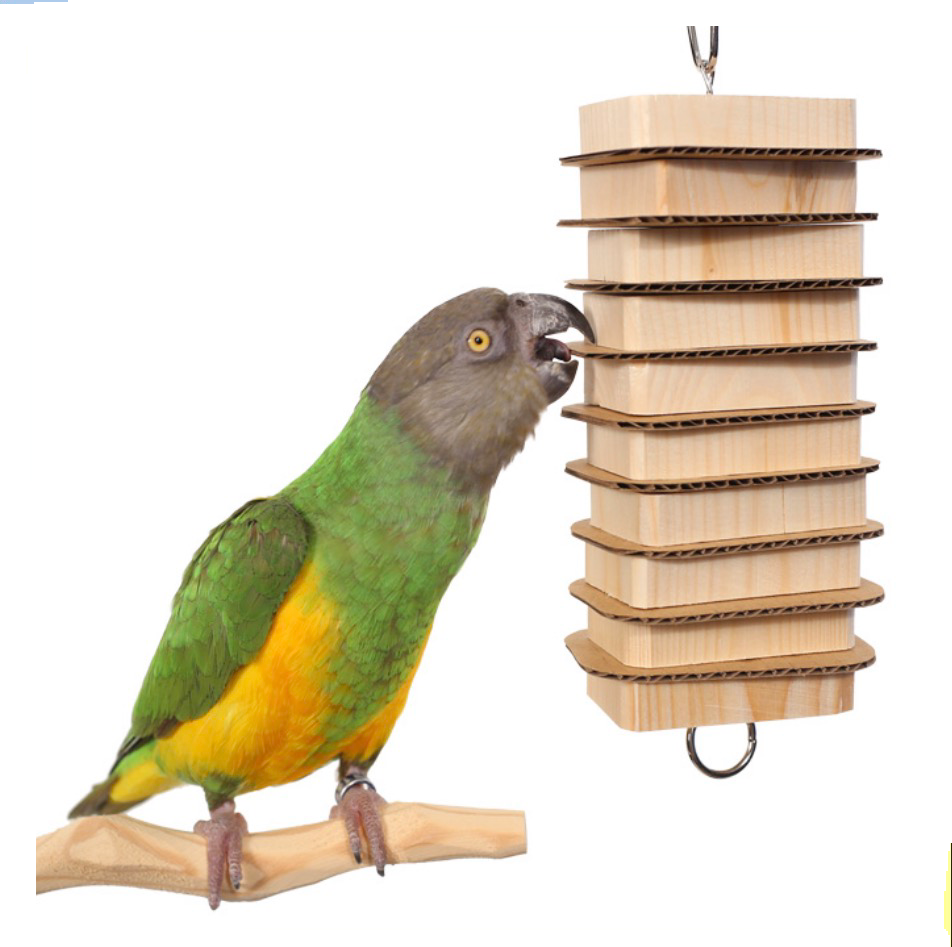 Parrot Bites Stack Small for Small to Medium birds by the Parrot Wizard