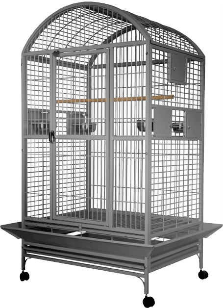 9003628 - Stainless Steel Dome Top 304 Grade STAINLESS STEEL 36" x 28" x 65" Cage with Divider 1" Bar Spacing by A&amp;E Cage Company