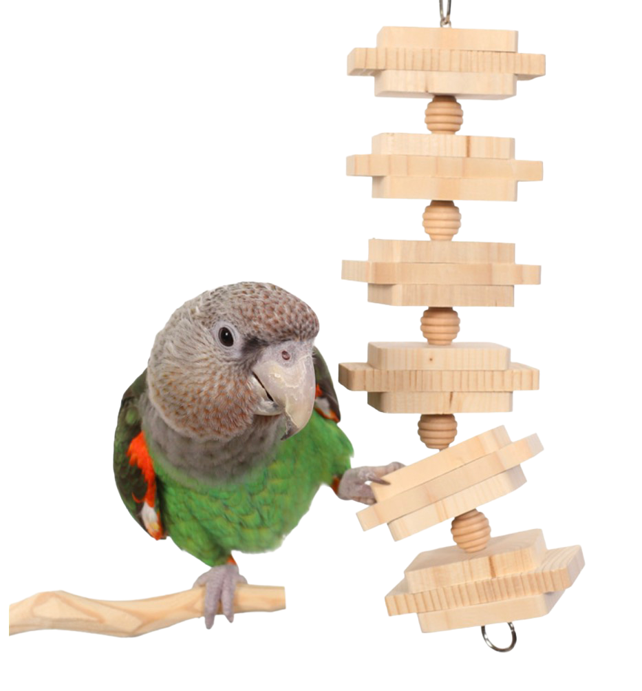 Parrot Bites Clusters Large for Medium Birds by the Parrot Wizard