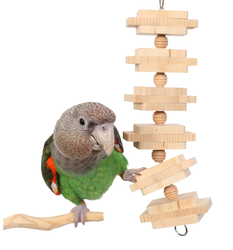 Parrot Bites Clusters Large for Medium Birds by the Parrot Wizard