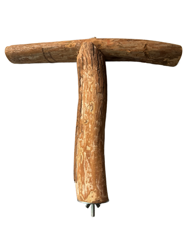 Large Dragonwood T Perch - 2" Diameter x 12"-14" Length by Ammerman Cage &amp; Equipment