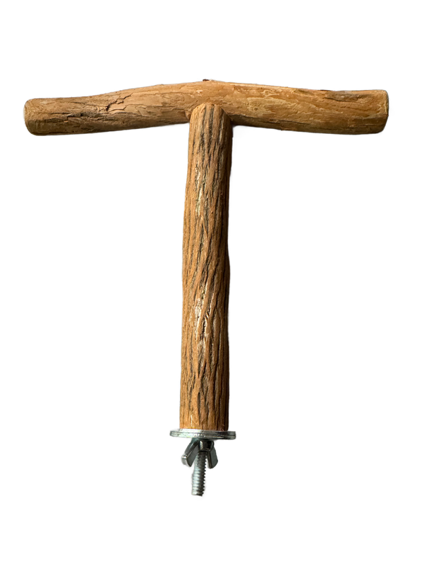 Small Dragonwood T Perch - 3/4" Diameter x 6"-9" Length by Ammerman Cage &amp; Equipment