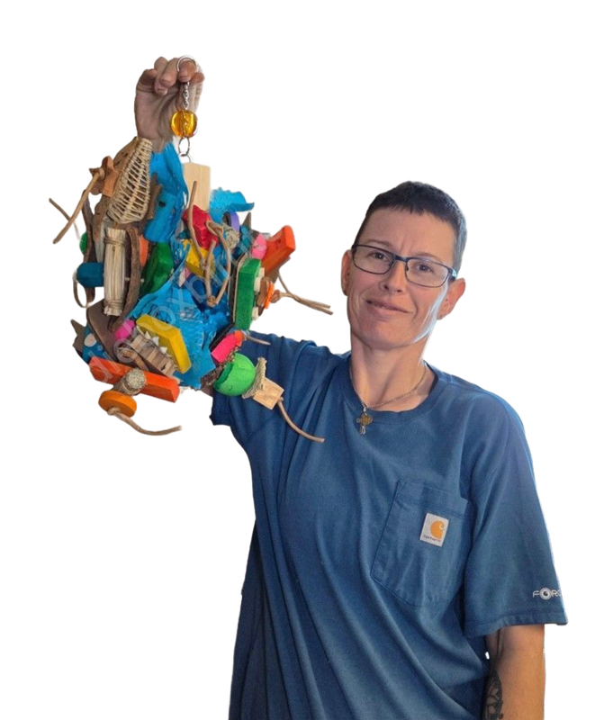 The Brain Teaser for Large Birds by Birdie Box Bird Toys