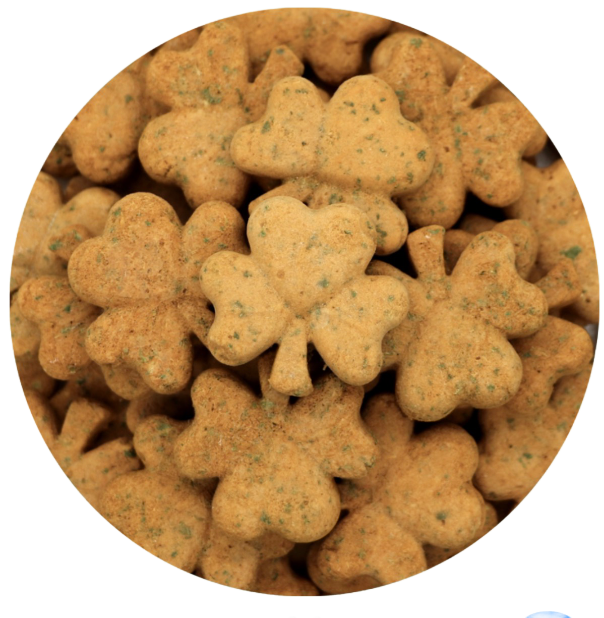 Lucky Nuggets 30 Count Freeze Dried for all Parrots by myParrotopia®