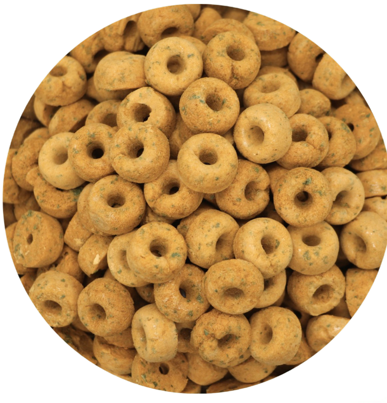 Carrot Kale Foodieos 30 Count Freeze Dried for all Parrots by myParrotopia®