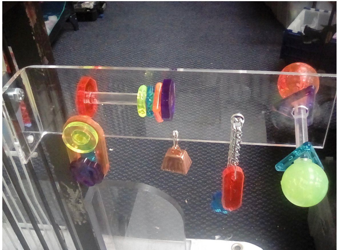 Activity Center Small Cage Mount in Acrylic for Small &amp; Medium Birds by Bell Plastics Bird Toys