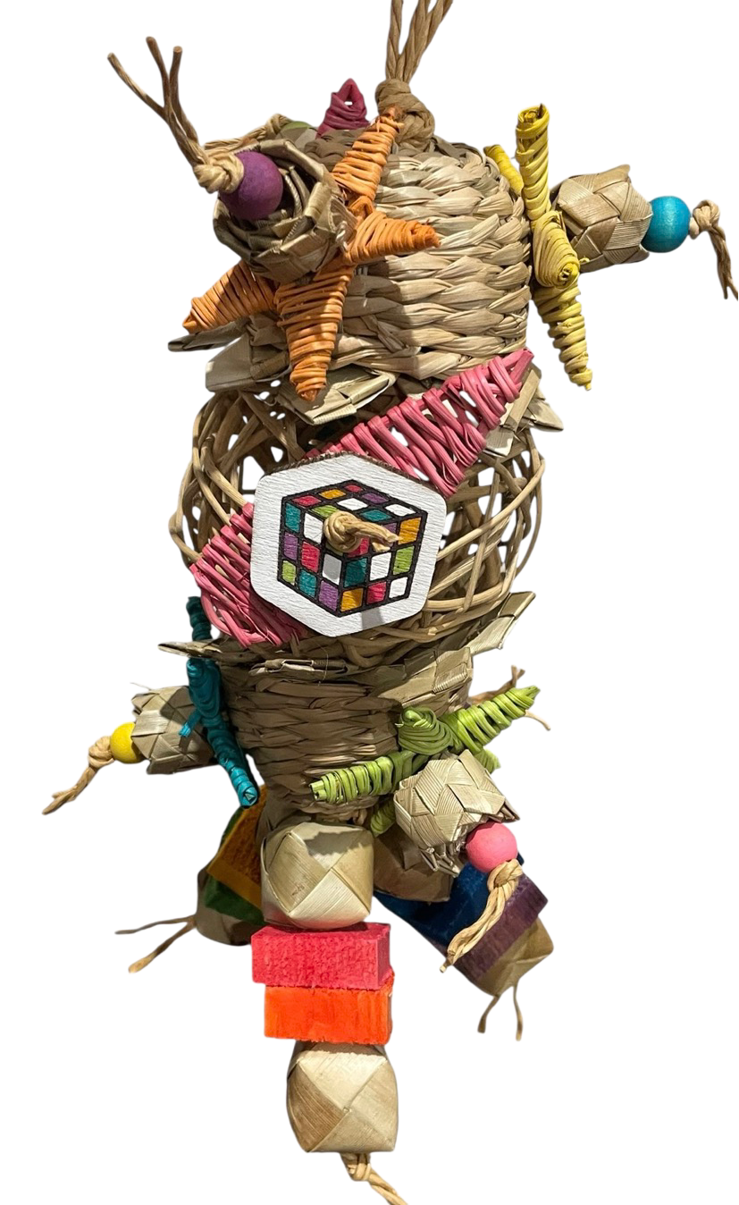 No Duh, I have a Rubix Cube! Limited Edition for Medium Birds by Feathered Addictions