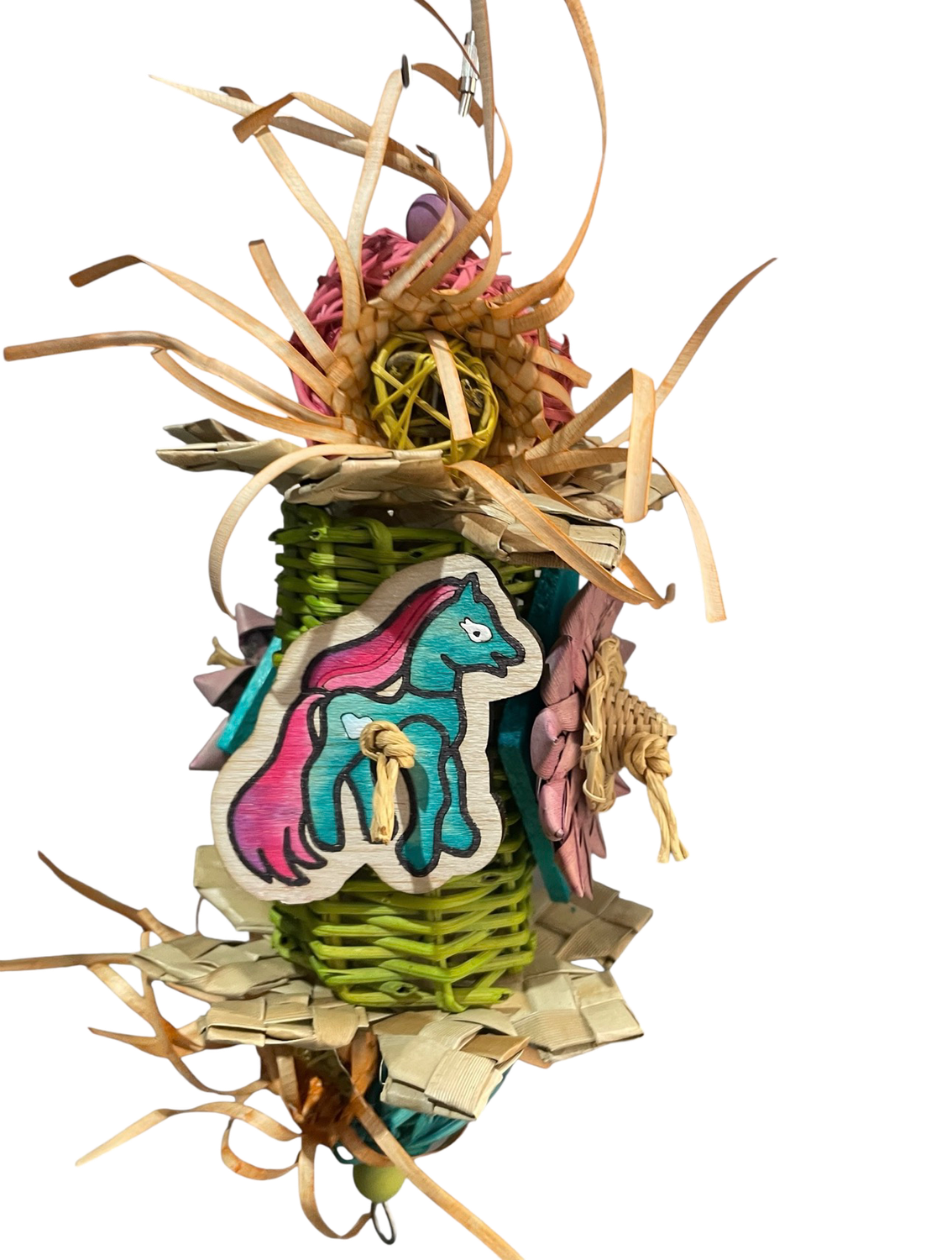 What will Today's Adventure Be? Limited Edition for Small &amp; Medium Birds by Feathered Addictions