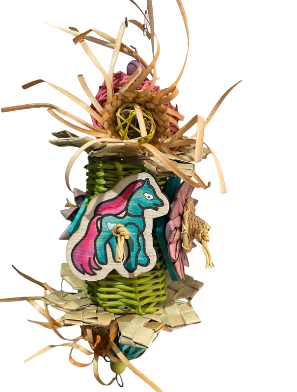 What will Today's Adventure Be? Limited Edition for Small &amp; Medium Birds by Feathered Addictions