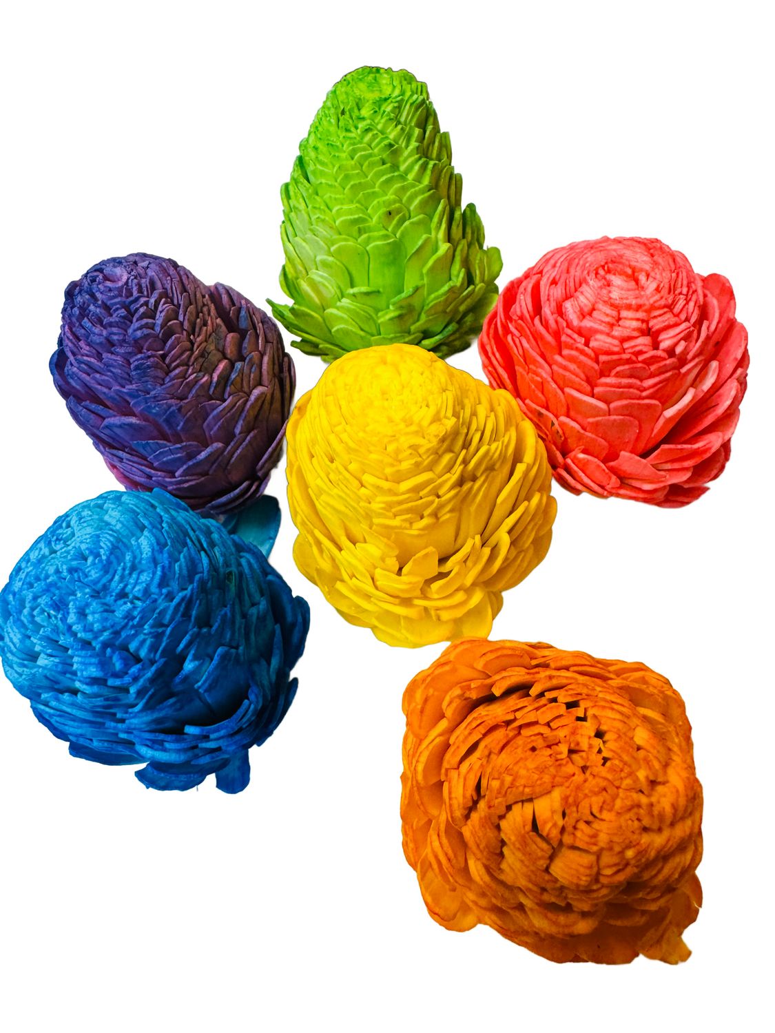 3 Pack Color Sola Pine Cone by Feathered Addictions