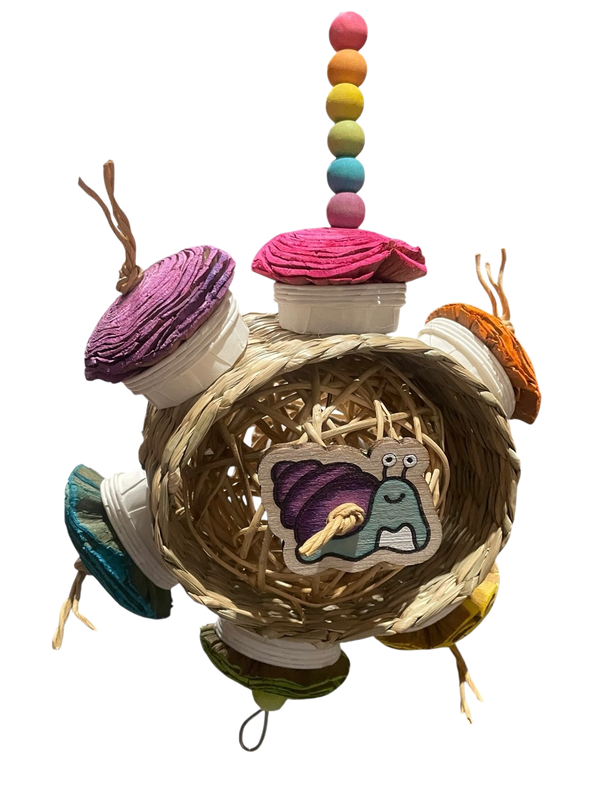 You Spin me Round and Round Snail Limited Edition for Small Birds by Feathered Addictions