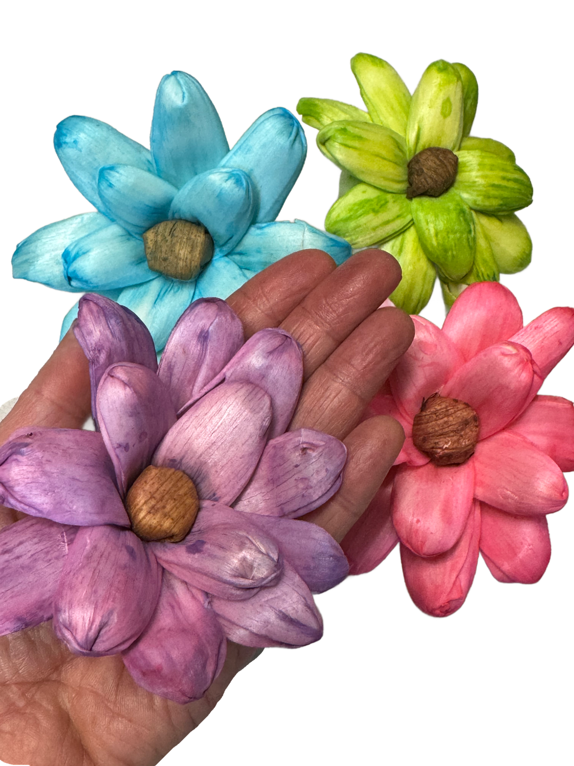 HUGE Sola Crazy Daisy - 3.5" - 4pc by Feathered Addictions