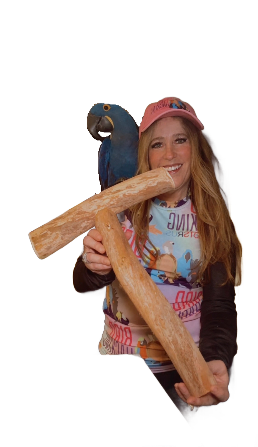 Dragonwood Training T Perch and Hand Protector for Large Birds with 2" Diameter Perch by Ammerman Cage &amp; Equipment