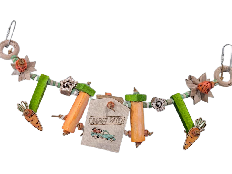 Carrot Crazy Banner by Peter Piper Parrots