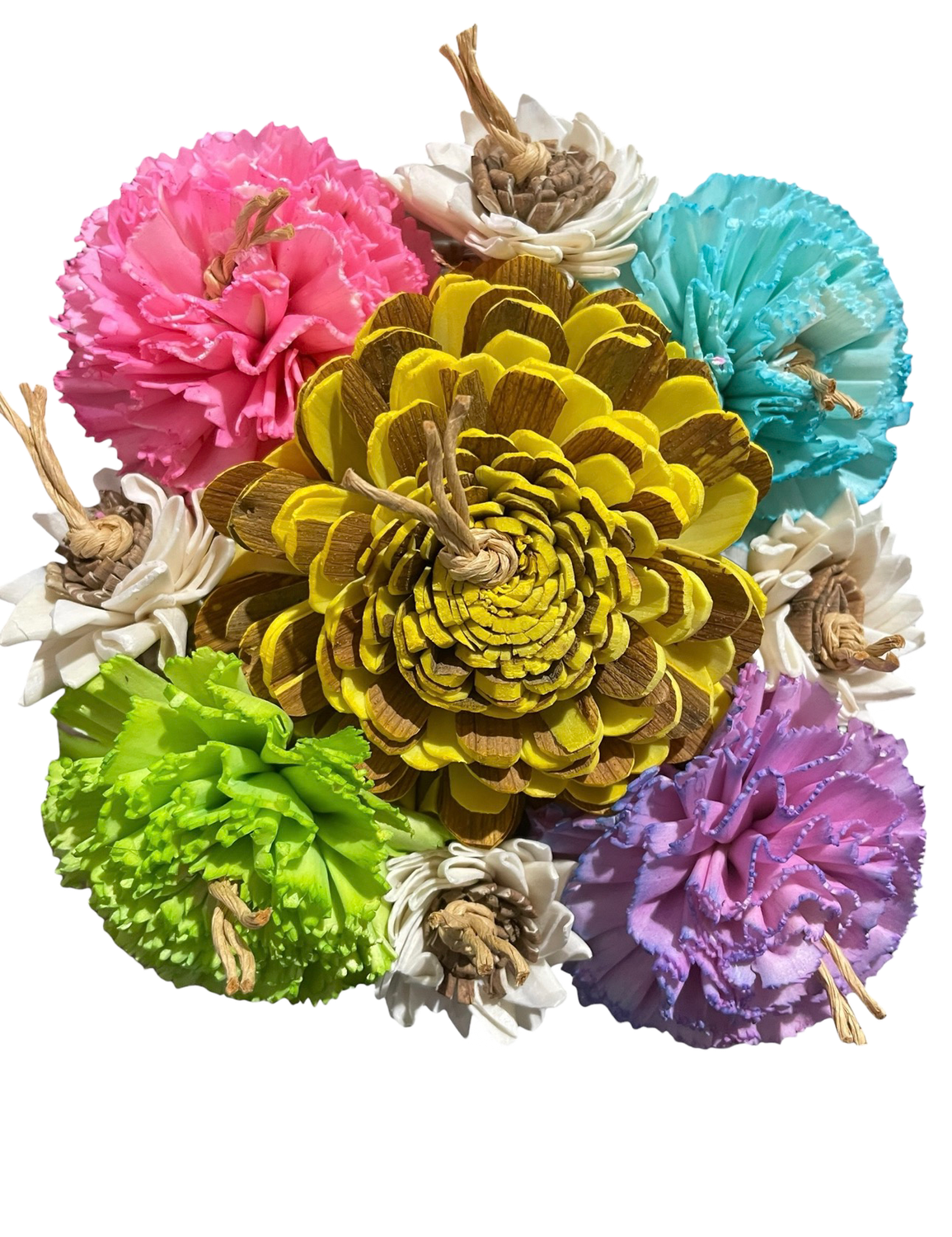 Spring Board Limited Edition for Small &amp; Medium Birds by Feathered Addictions