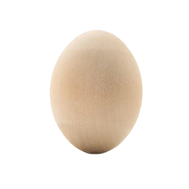 2.5" Hardwood Birch Egg Foot Toy by Parrotsrus