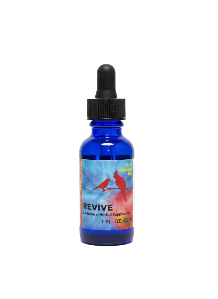 Revive (formerly called Antibacterial / Antifungal) 1 oz NEW ENHANCED FORMULATION by Morning Bird Products