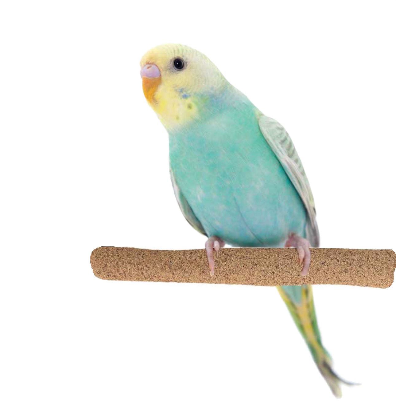 Sure Grip Grooming Perch 1/2" Diameter x 6" Length Small - by Super Bird Creations