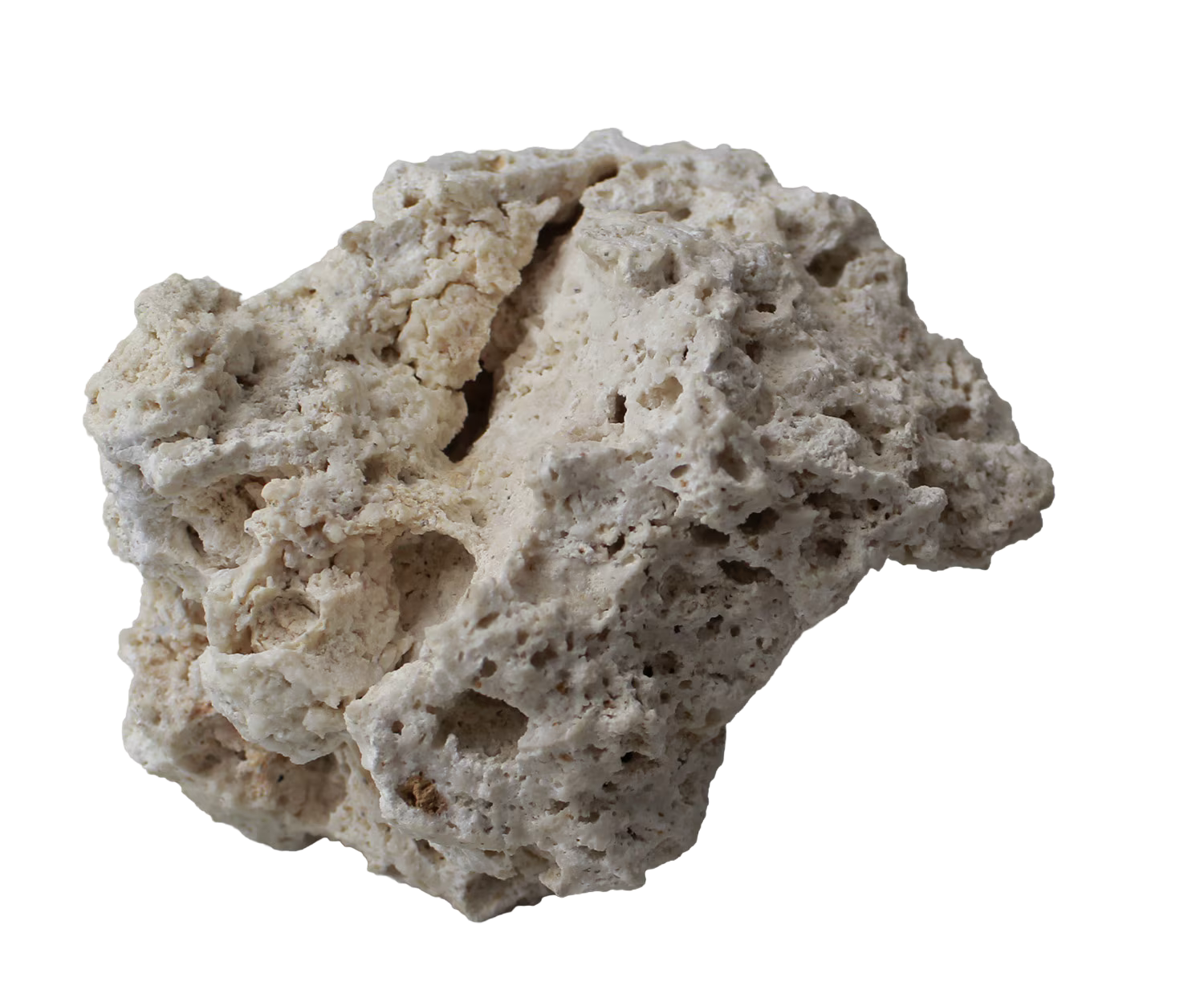 Beak Conditioning Stone - Beak Buffer Cage Mount by A&amp;E Cage Company