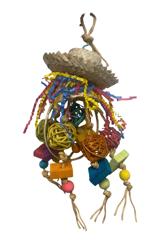 Basket Case for Small Birds by Feathered Addictions