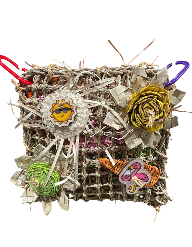 Jamming with my Toucan: Chew and Forage Perch Limited Edition for Small and some Medium Birds by Feathered Addictions