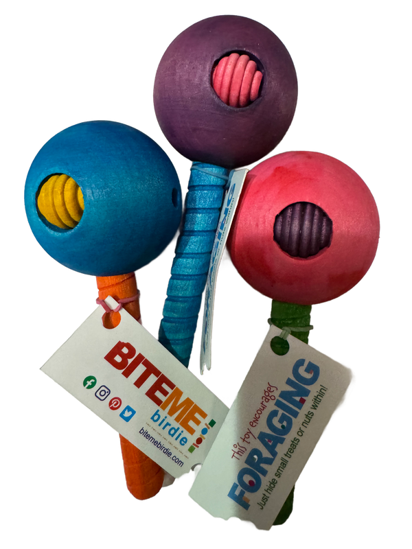3 Pack Lollipop Large Foot Toy for Large Size Birds by Bite Me Birdie