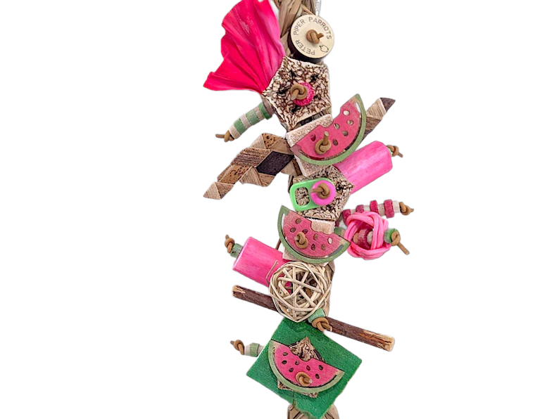 Watermelon Wonder Seagrass Shredder by Peter Piper Parrots - Limited Edition