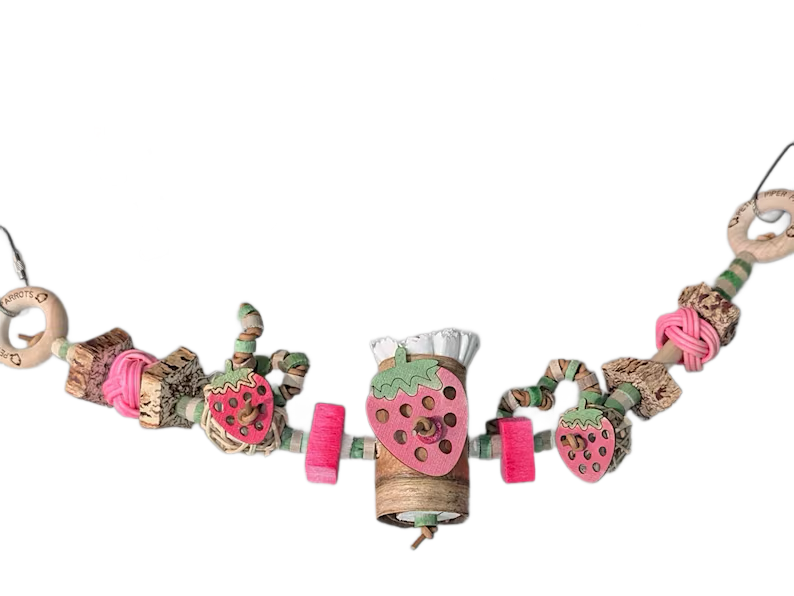 Strawberry Festival Banner by Peter Piper Parrots