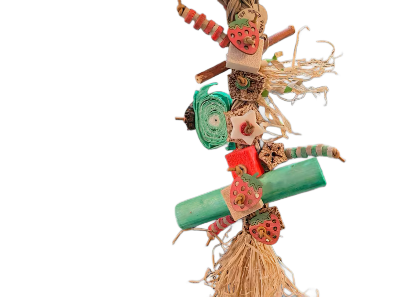 Strawberry Festival Seagrass Shredder by Peter Piper Parrots - Limited Edition
