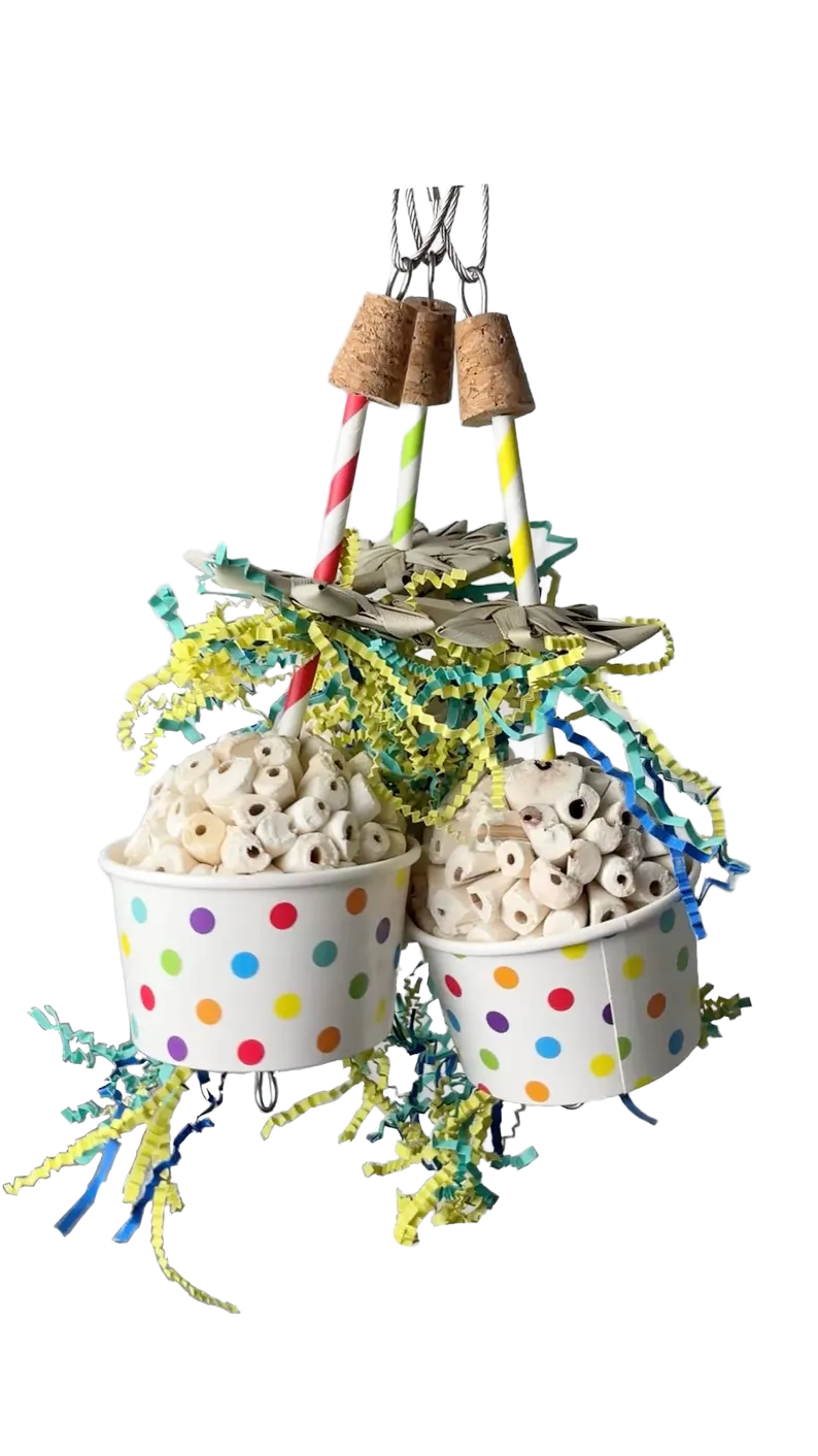 Happy Hatch Day Tooo Youuuu! for Small and some Medium Birds by Pirate's Beak