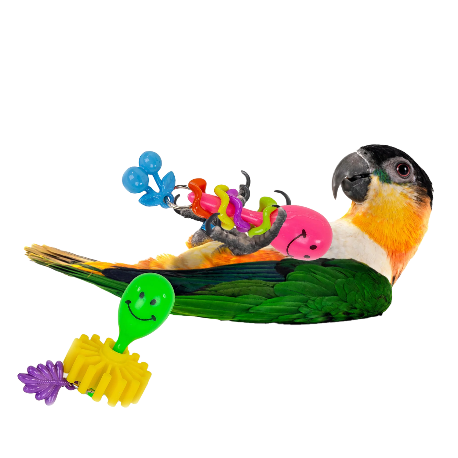 Dos Maracas Set of 2 Foot Toys by the Best Bird Toys