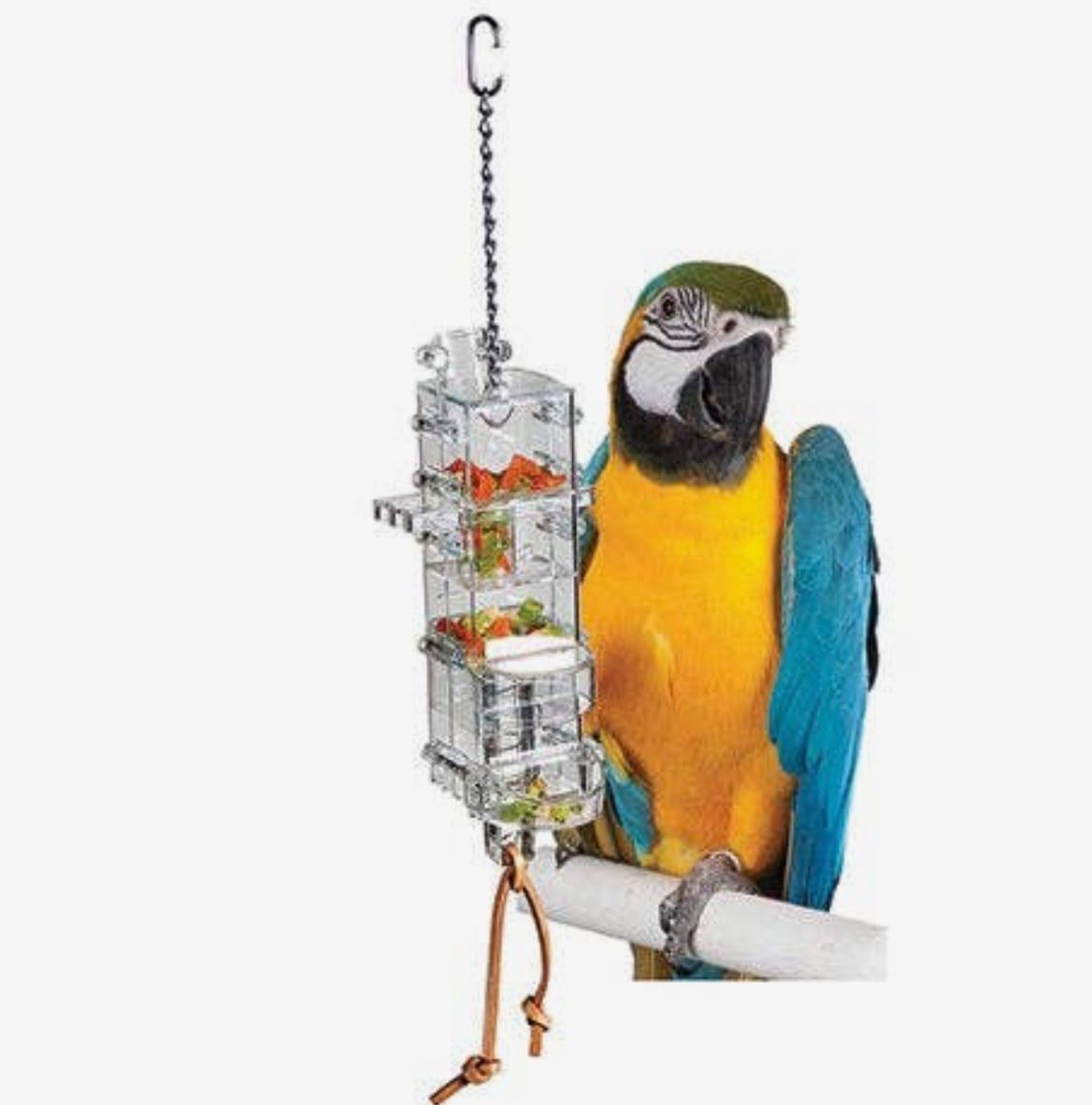 Tug 'n Slide Tower Bird Toy  Forager by Featherland Paradise