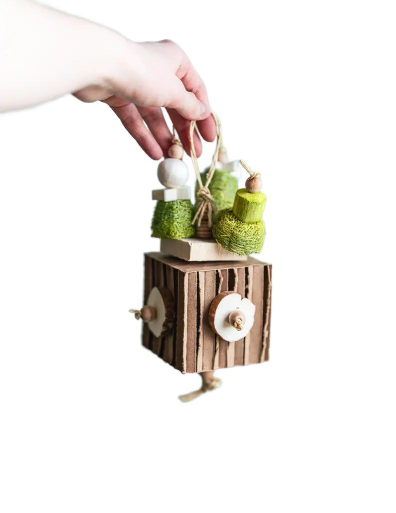 Cactus Planter for Small Birds Little Dinos Natural Bird Toys