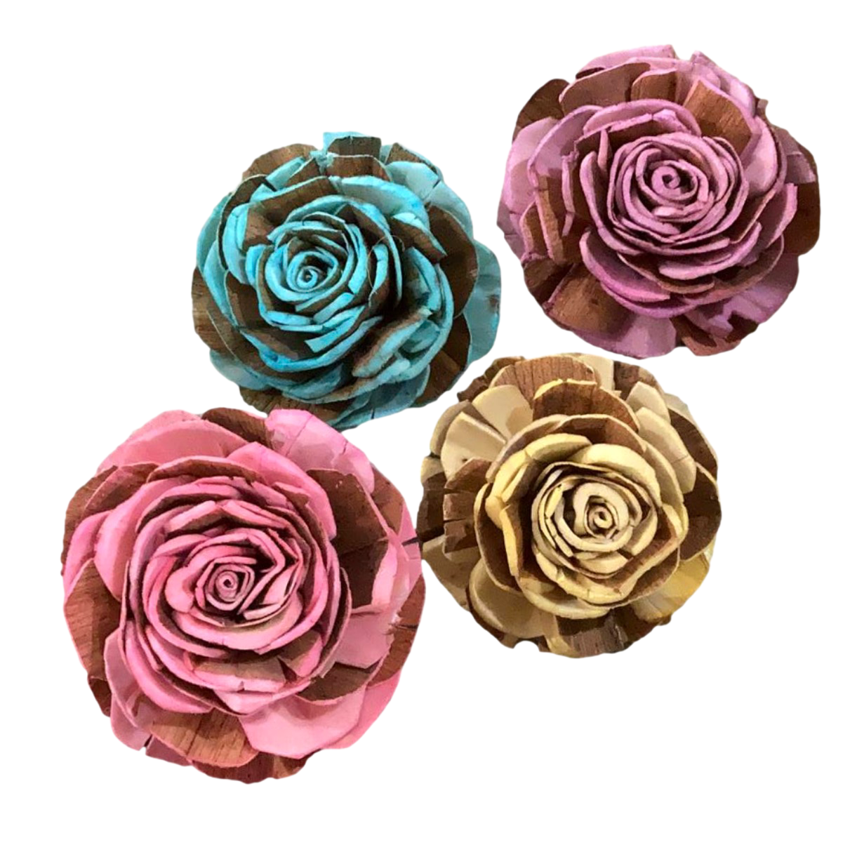 Sola Rose Blooms 3 Pack Large 4" by Feathered Addictions
