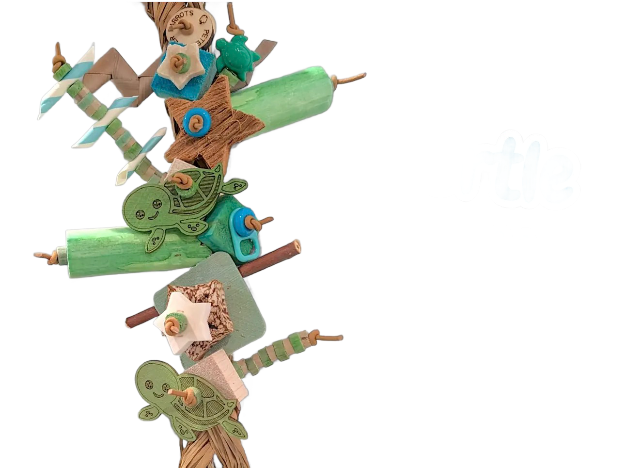Turtle Turtle Seagrass Shredder by Peter Piper Parrots - Limited Edition