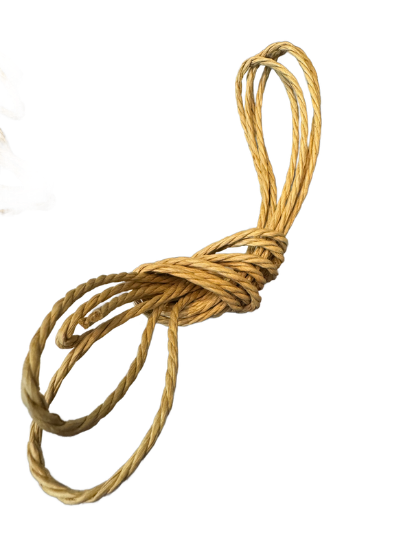 Paper Cord 3/16" x 10'  by Feathered Addictions