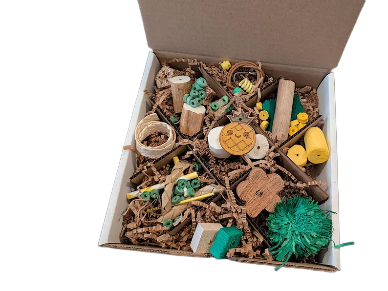 Pineapple Discovery Box NEW Theme by Peter Piper Parrots -- Limited Edition