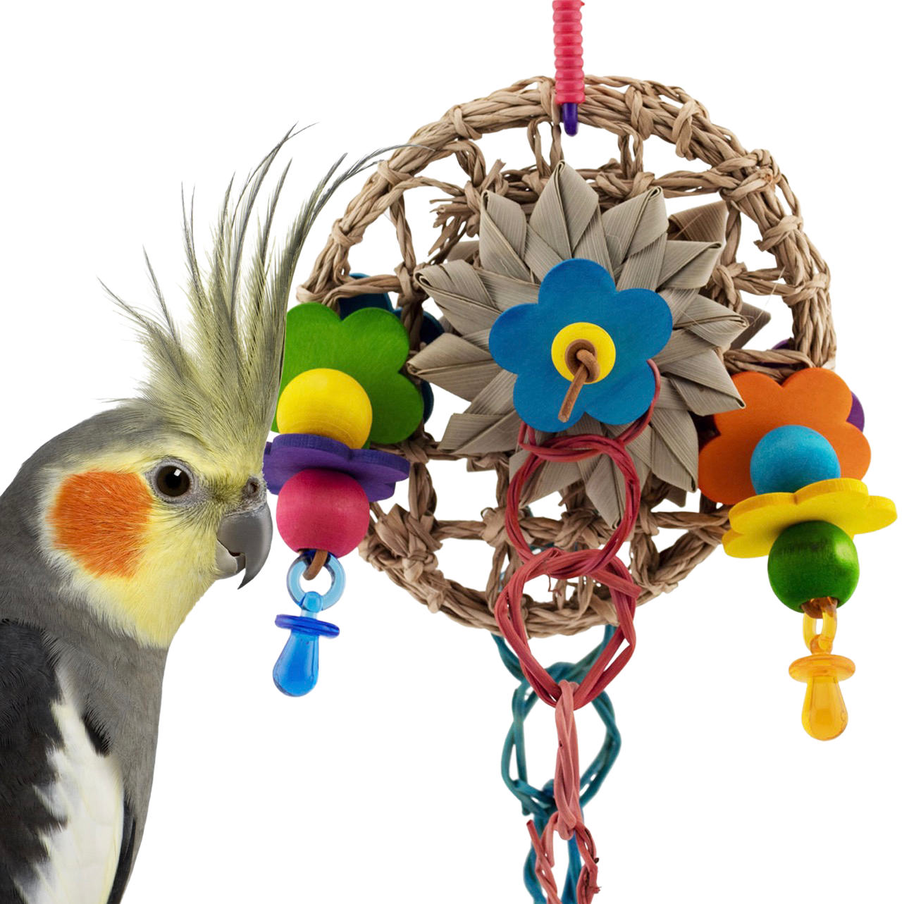Circle of Fun for Small Birds by Super Bird Creations