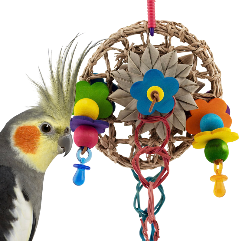 Circle of Fun for Small Birds by Super Bird Creations