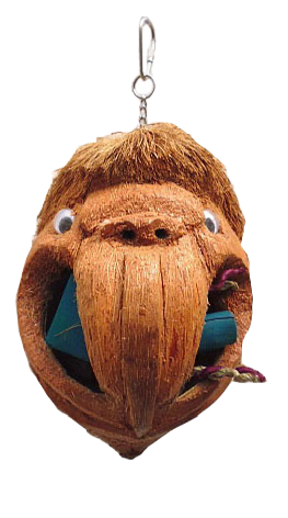 Coconut Parrot Head Foraging Bird Toy for Medium Birds by Happy Beaks A&amp;E Cage Company