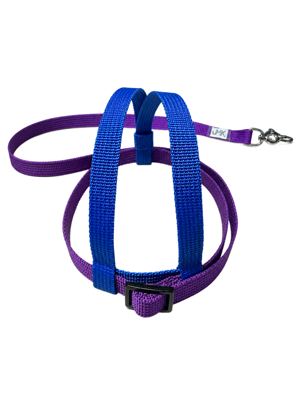 JMK Harness and Leash - Colors Dark Blue and Purple, Size Medium: 425-600 grams: Eclectus, Med. Macaws (Severee, Red Fronted), Lg Amazons (Double Yellow, Yellow Nape), Umbrella, Congo Grey