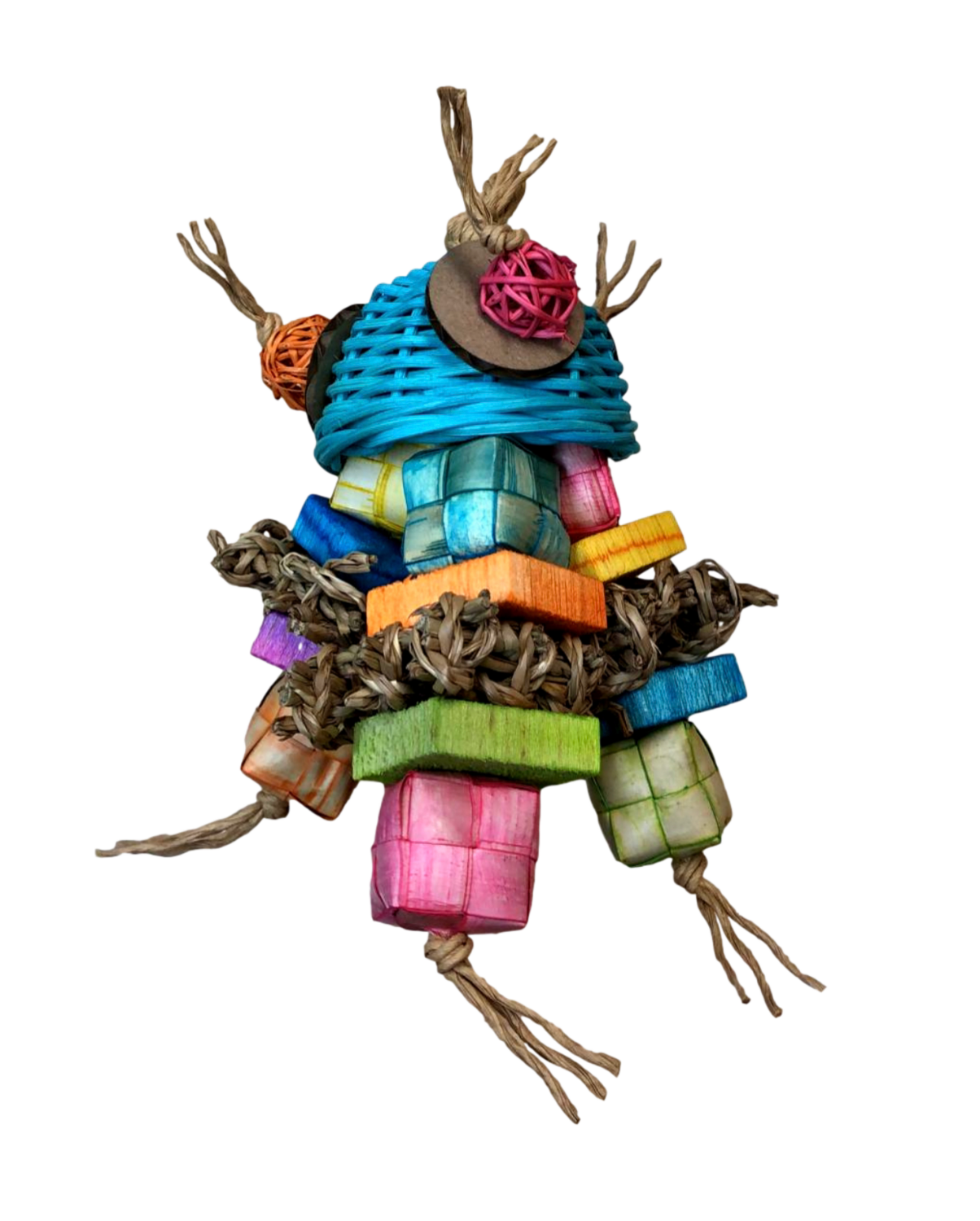 Hermione the Hermit Crab by Feathered Addictions