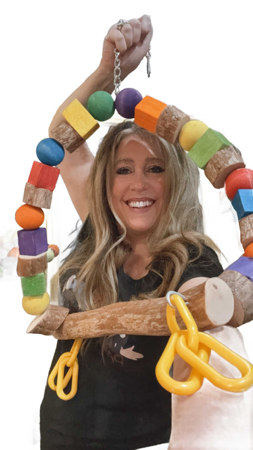 Large Groovy Swing for Large Size Birds by Ammerman Cage &amp; Equipment