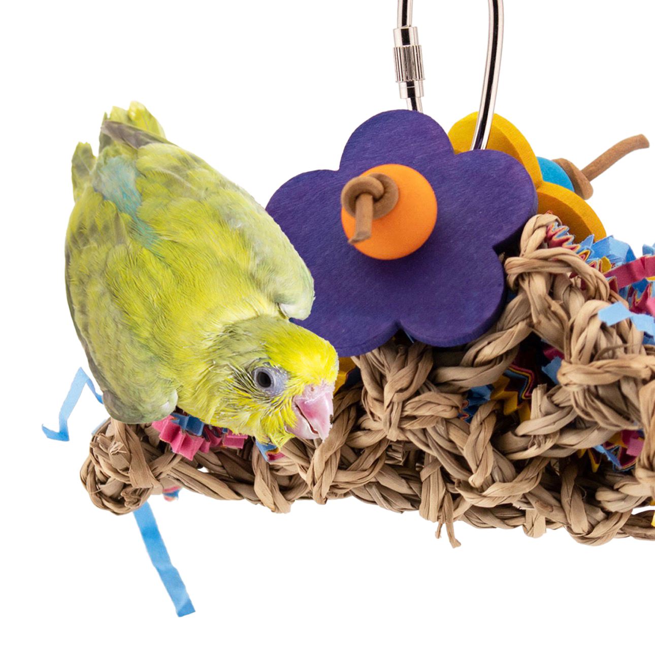 Teeny Taco for Small Birds by Super Bird Creations