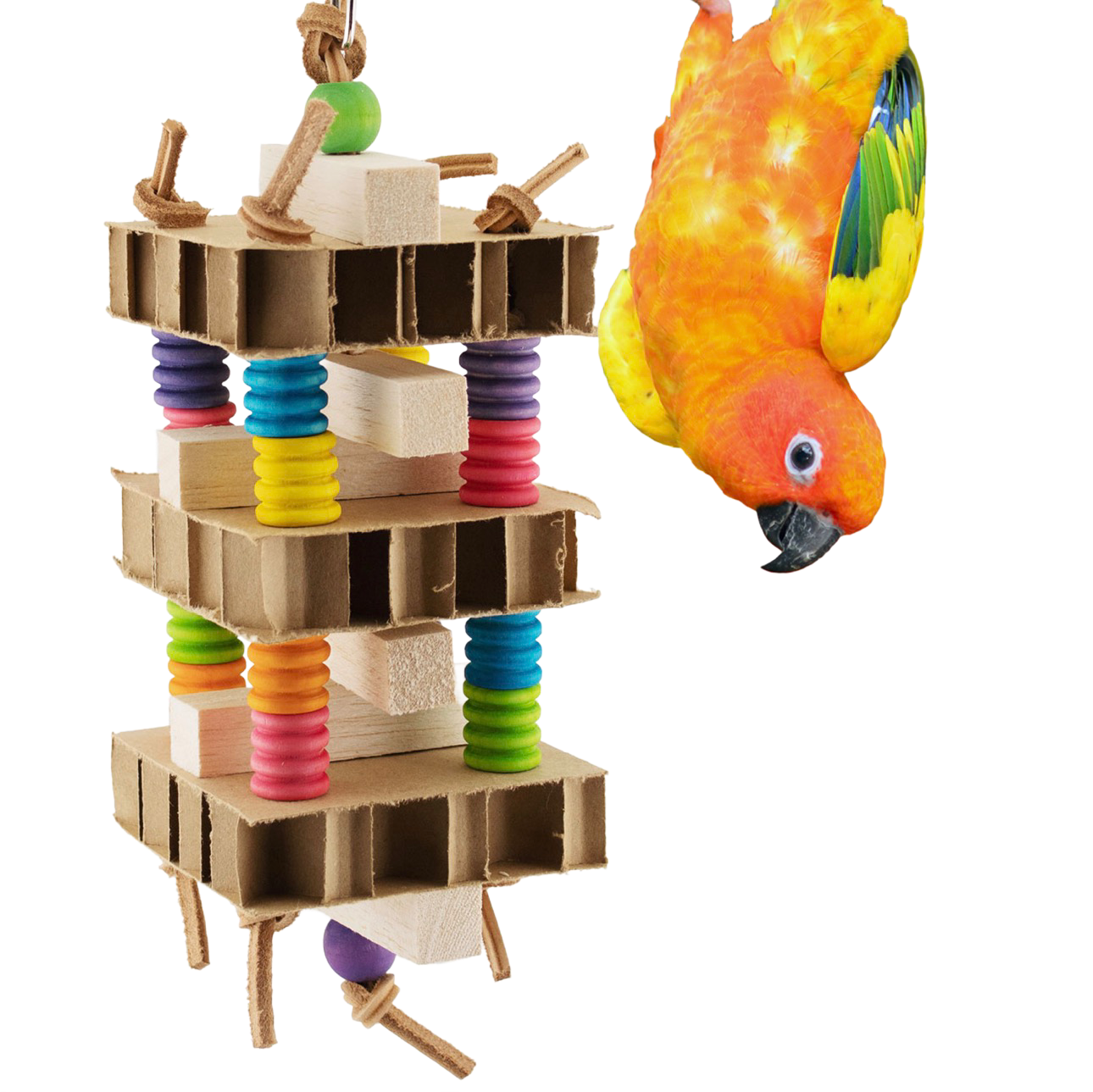 Stack it Up! for Small Birds by Super Bird Creations