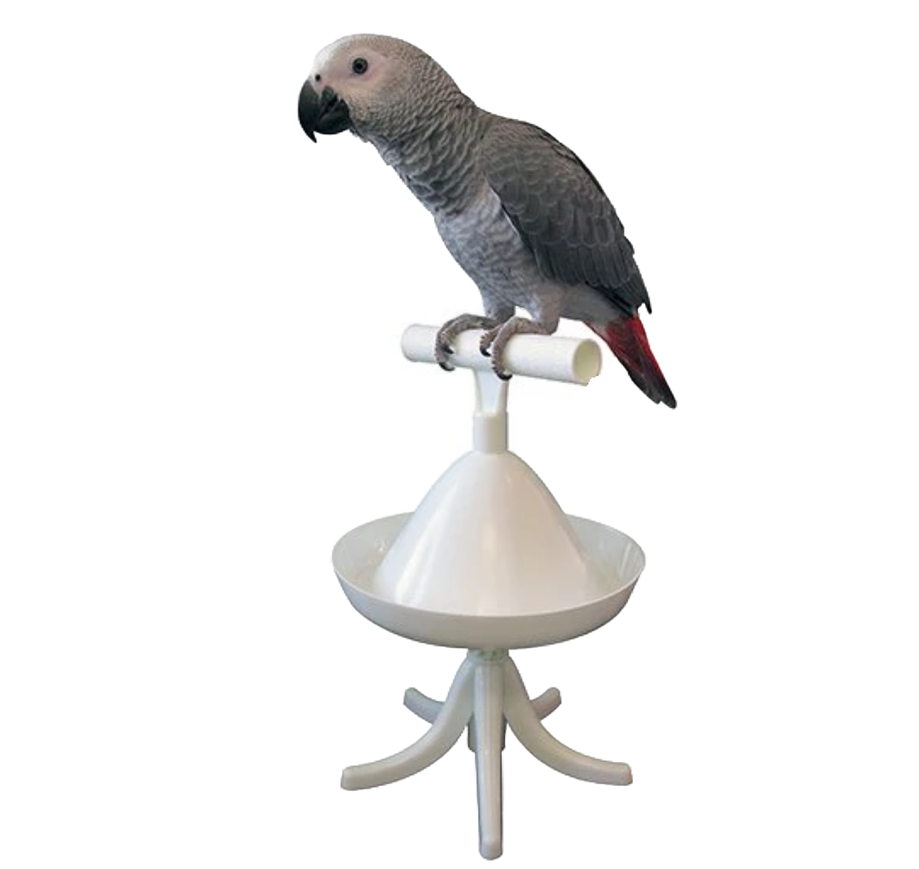 The Percher Portable Training Perch by Featherland Paradise