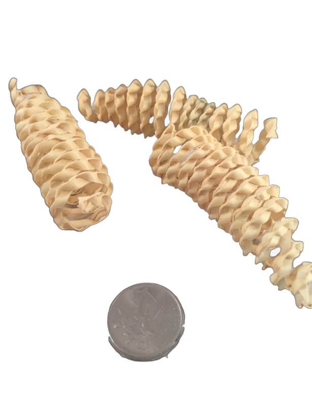 Shirley Palm Curls 6 Pack Natural by Feathered Addictions