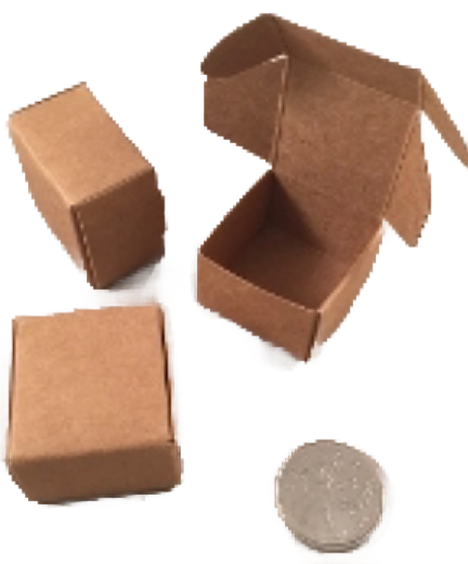 Itty Bitty Foraging Boxes 6 Pack Natural by Feathered Addictions
